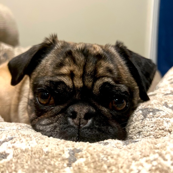 Meet your Posher, Meghan - Picture 5 of 13